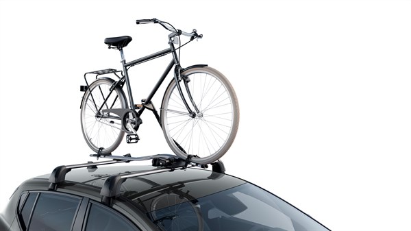Sandero Roof bars bicycle carrier